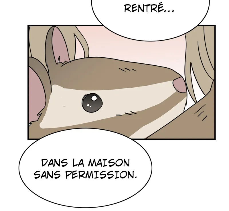 La Maison D'Émilie - 9 - 67e976b9672c6.webp