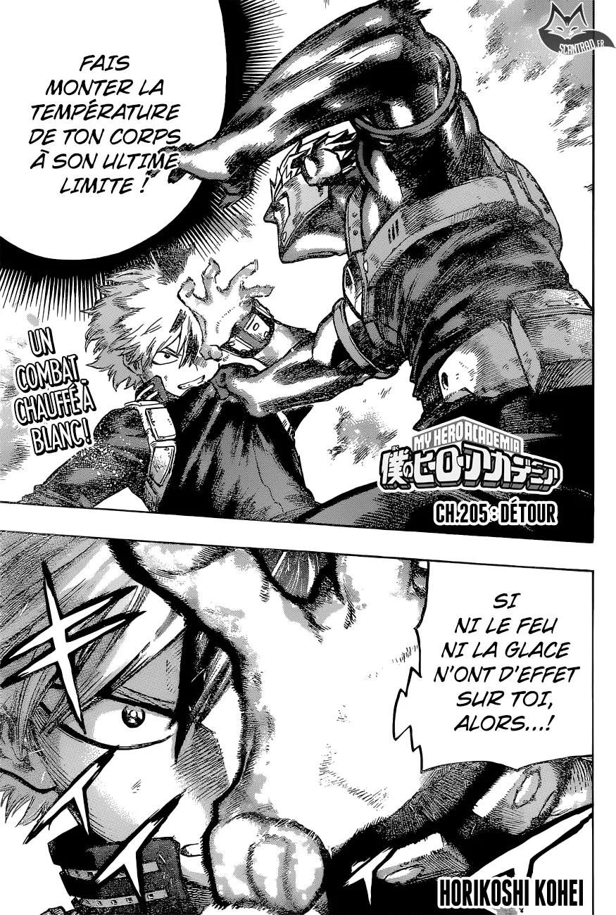 My Hero Academia - 205 - 65510589eb8ae.webp