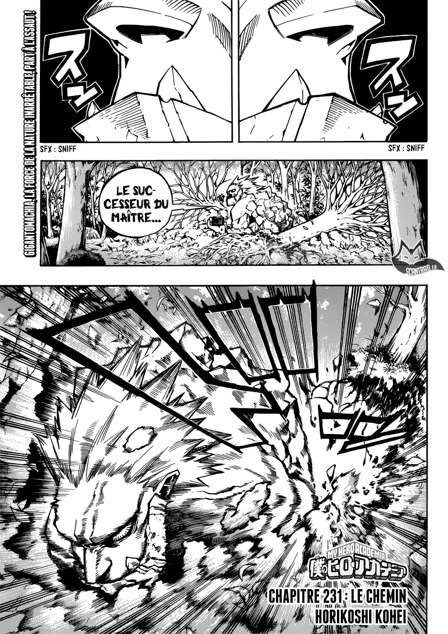 My Hero Academia - 231 - 655105faa0148.webp