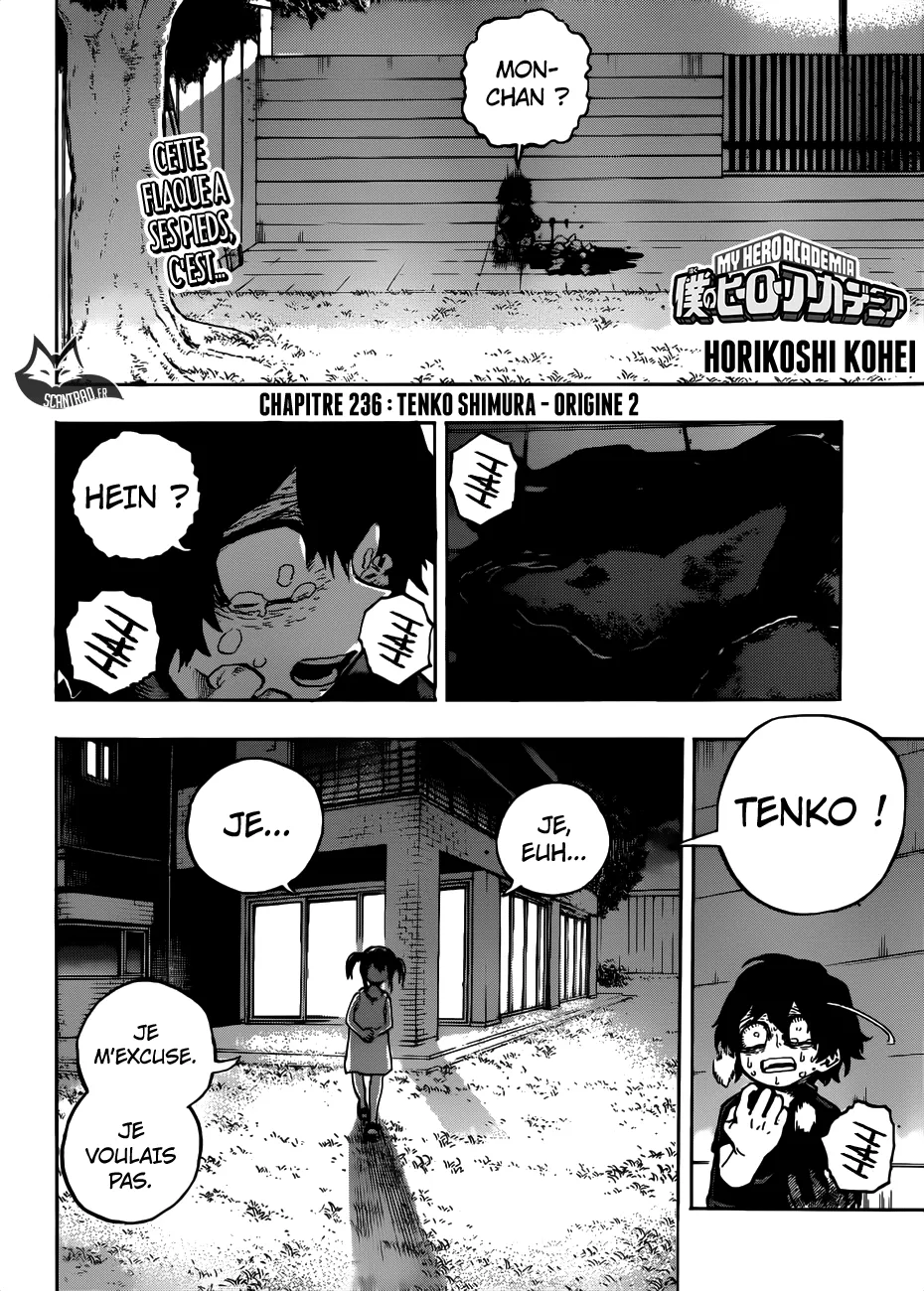 My Hero Academia - 236 - 6551060eaf256.webp