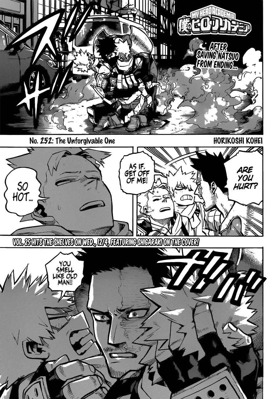 My Hero Academia - 252 - 655106567ea0e.webp