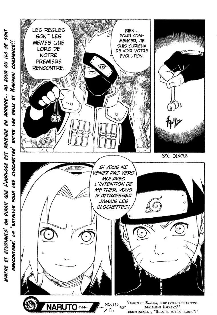 Naruto - 245 - 655378028f2bc.webp