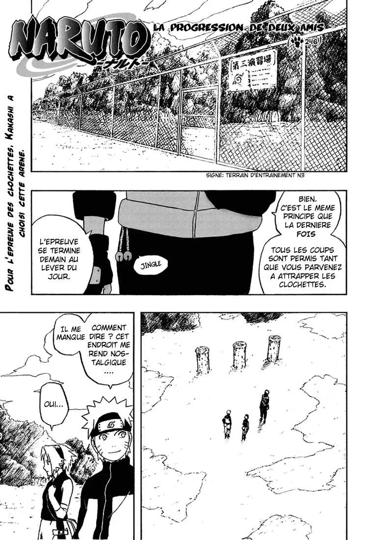 Naruto - 246 - 65537802bcd81.webp