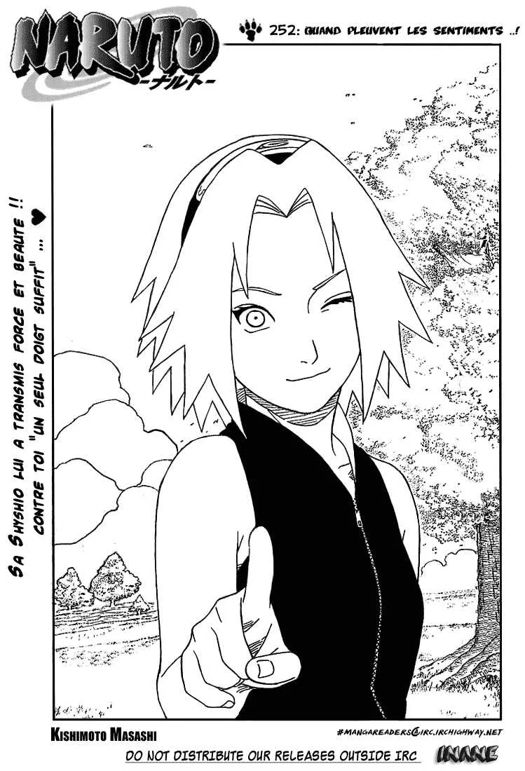 Naruto - 252 - 6553782e0a998.webp