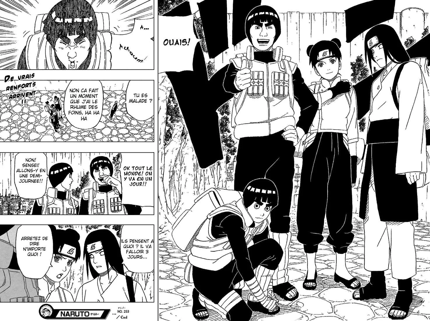 Naruto - 253 - 6553783496c1f.webp