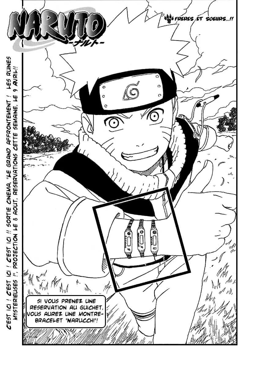 Naruto - 254 - 65537834c6258.webp