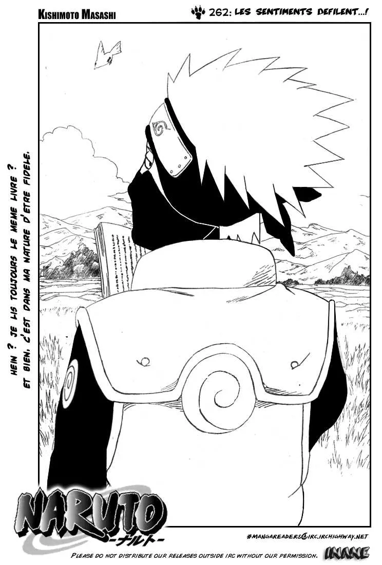 Naruto - 262 - 65537868105ea.webp