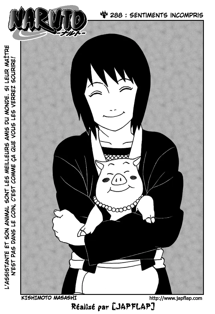 Naruto - 288 - 655378dfa4fc2.webp