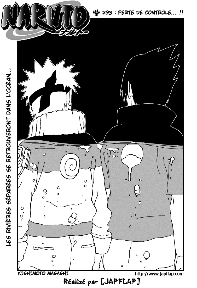 Naruto - 293 - 655378f04a4f0.webp