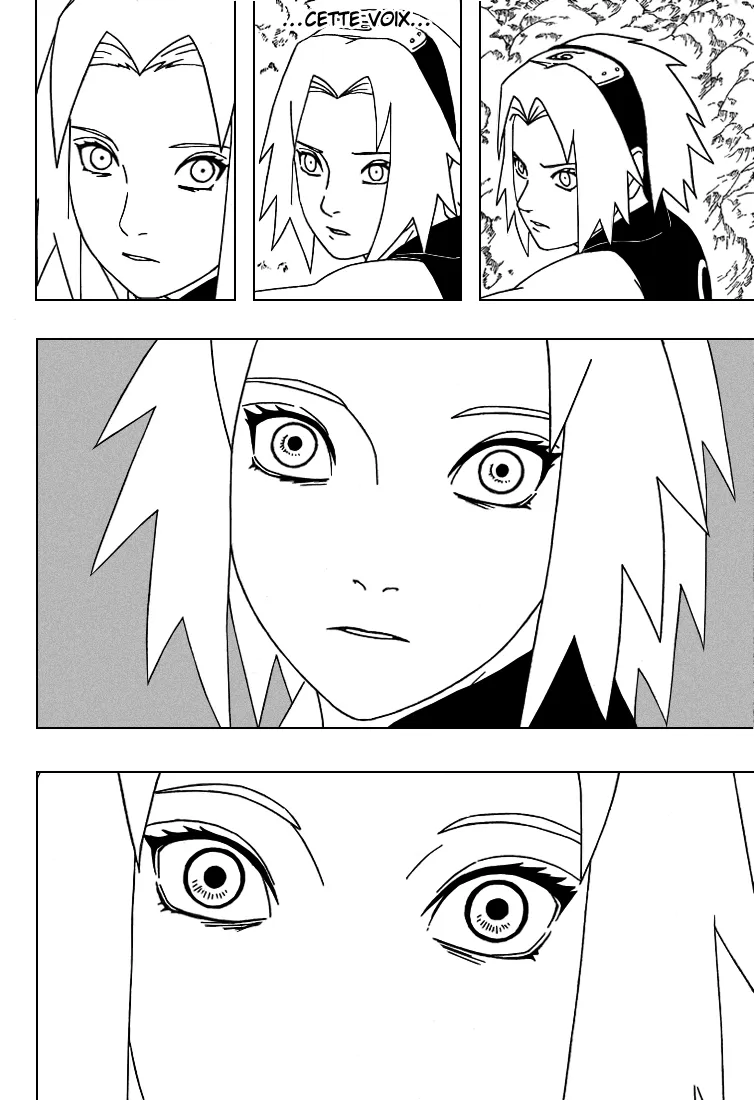 Naruto - 306 - 65537937e747f.webp
