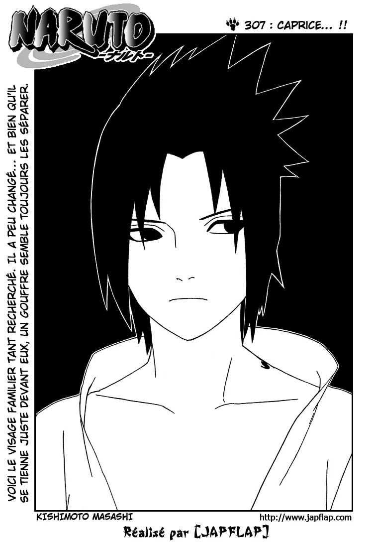 Naruto - 307 - 6553793a35f30.webp