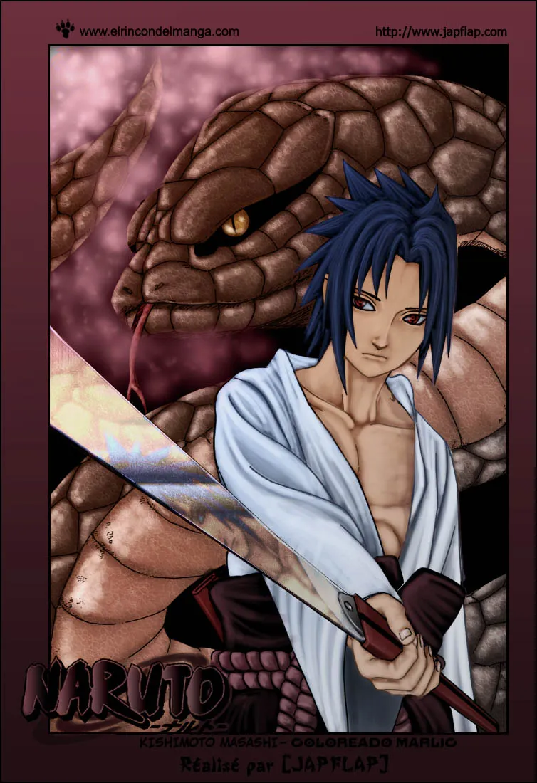 Naruto - 309 - 655379408626a.webp