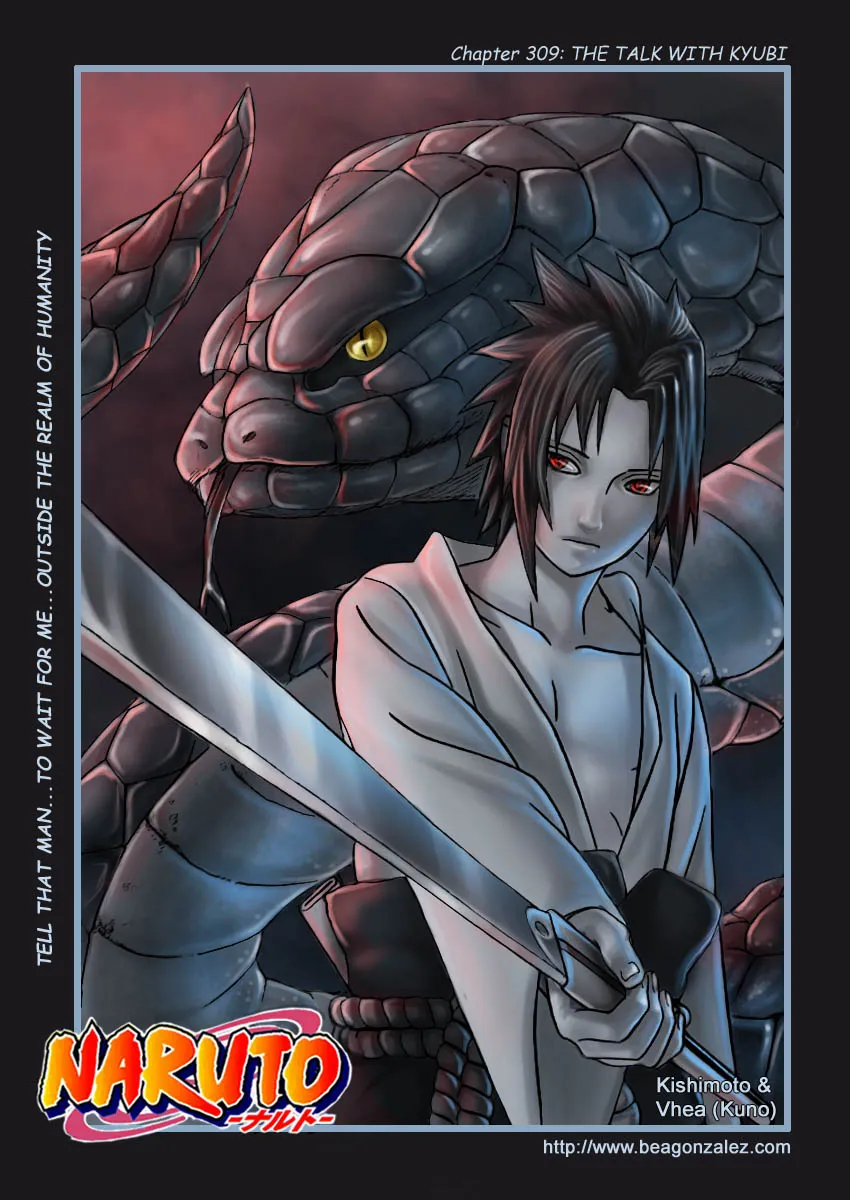 Naruto - 309 - 65537940dc616.webp