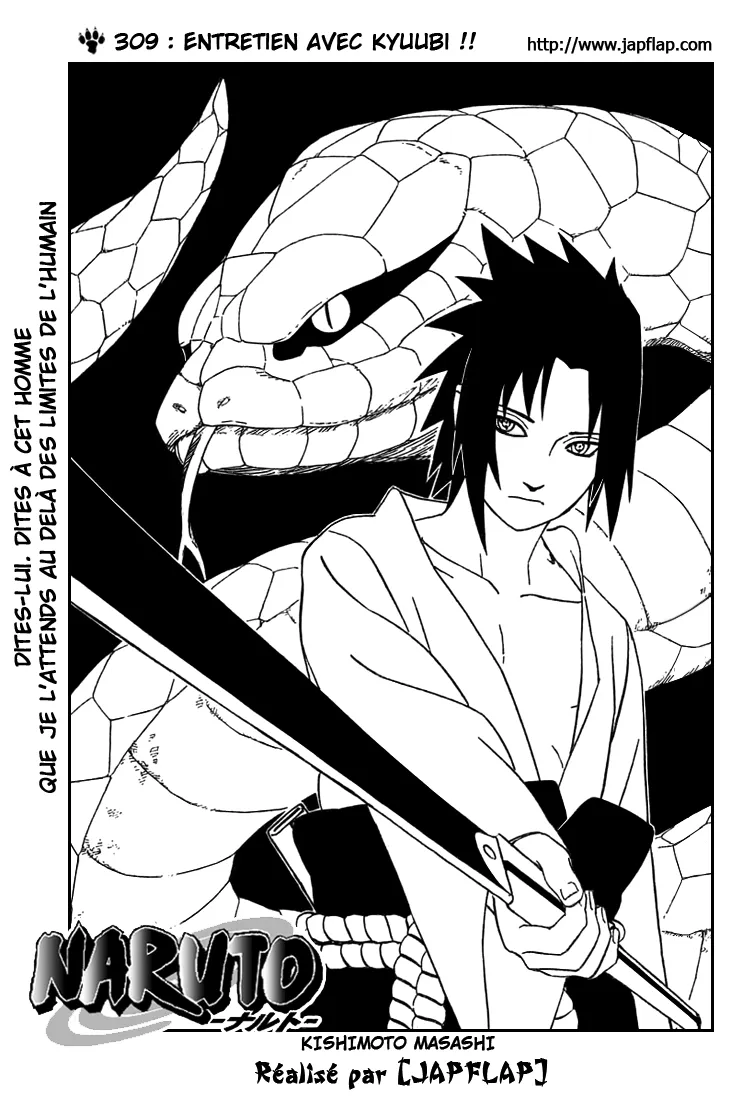 Naruto - 309 - 655379410c0f0.webp