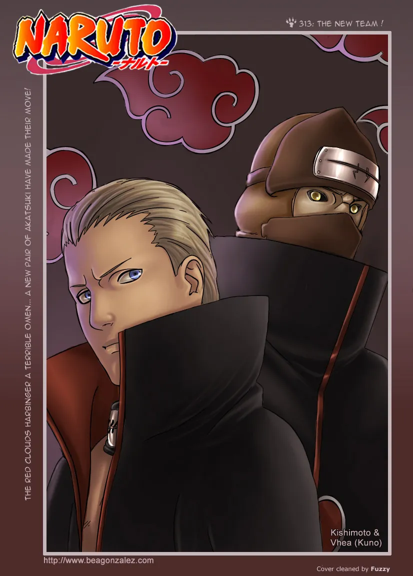 Naruto - 313 - 6553794e4201d.webp