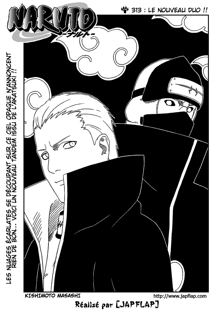 Naruto - 313 - 6553794ea8d29.webp