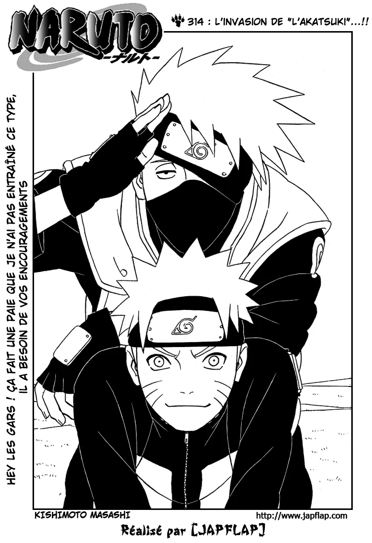 Naruto - 314 - 65537951dbfca.webp