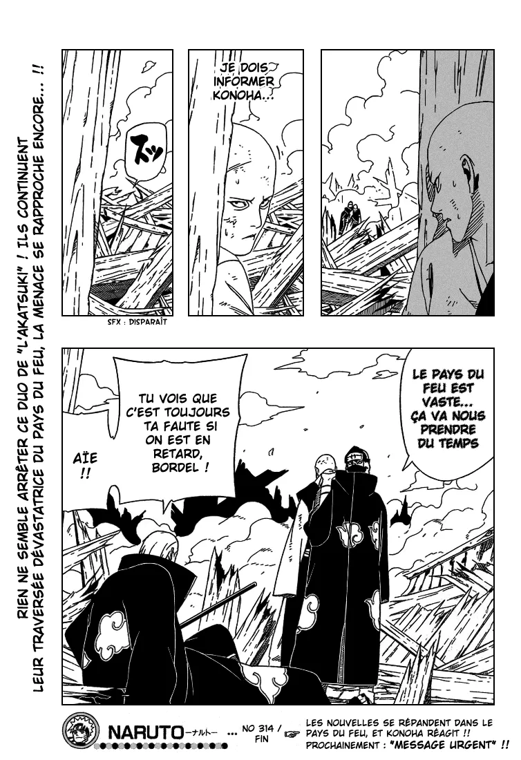 Naruto - 314 - 65537954cb5bb.webp