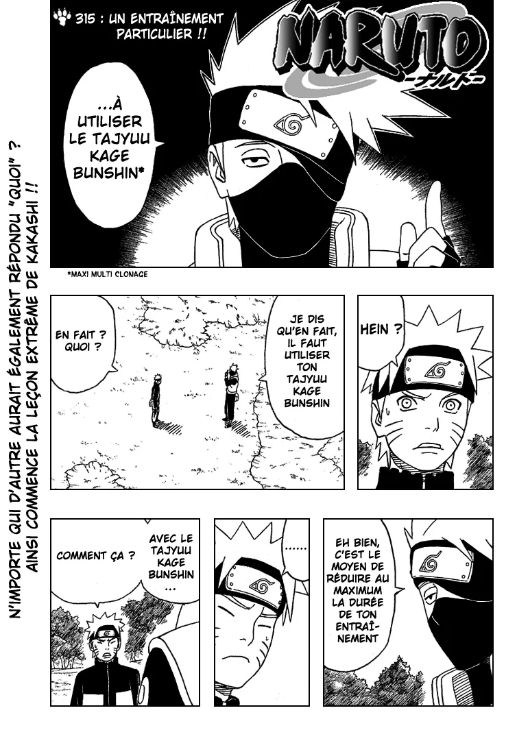 Naruto - 315 - 65537954f1ace.webp