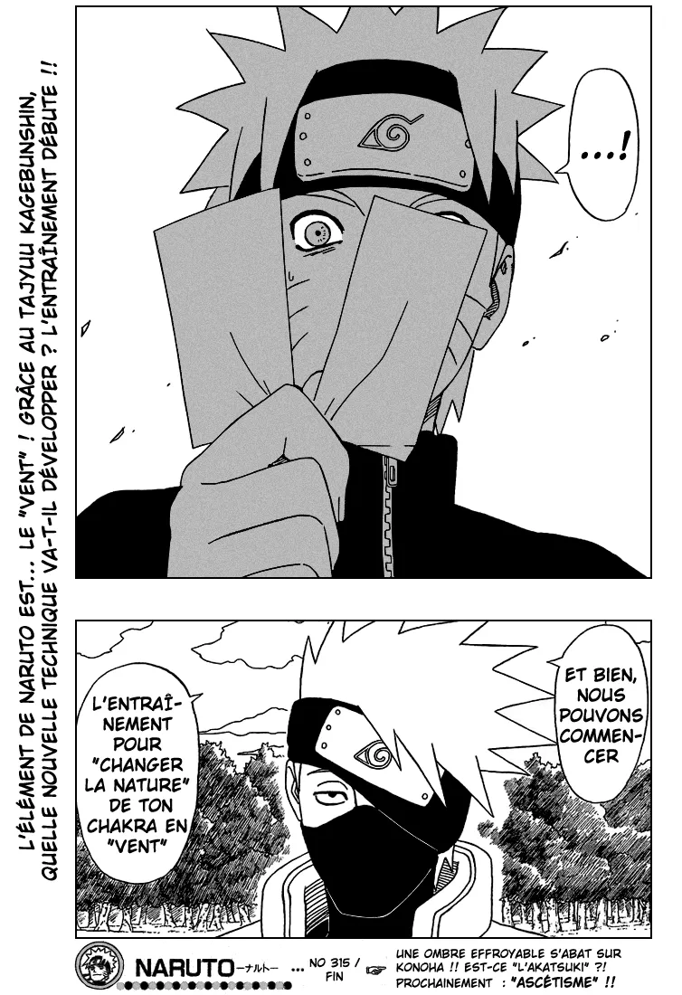 Naruto - 315 - 6553795799137.webp