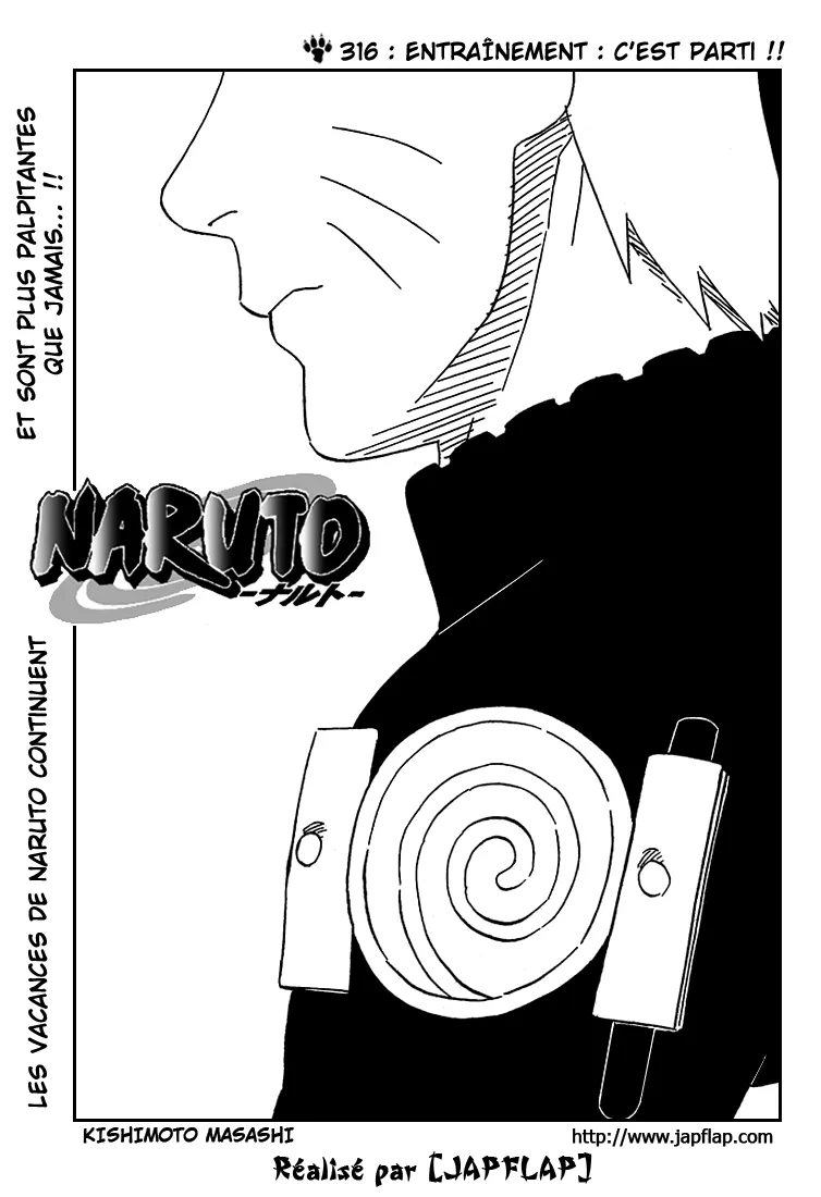 Naruto - 316 - 65537958027a6.webp