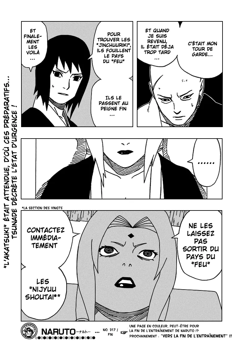 Naruto - 317 - 6553795e5a439.webp