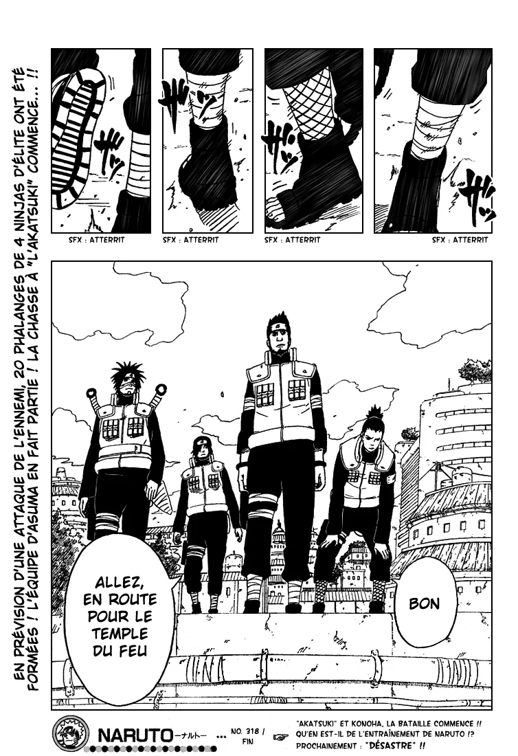 Naruto - 318 - 65537961620f1.webp