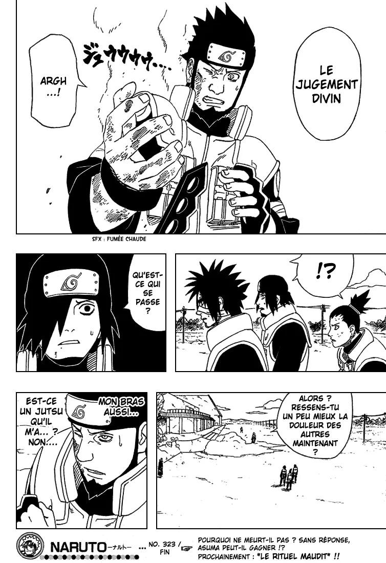 Naruto - 323 - 6553797145fa6.webp