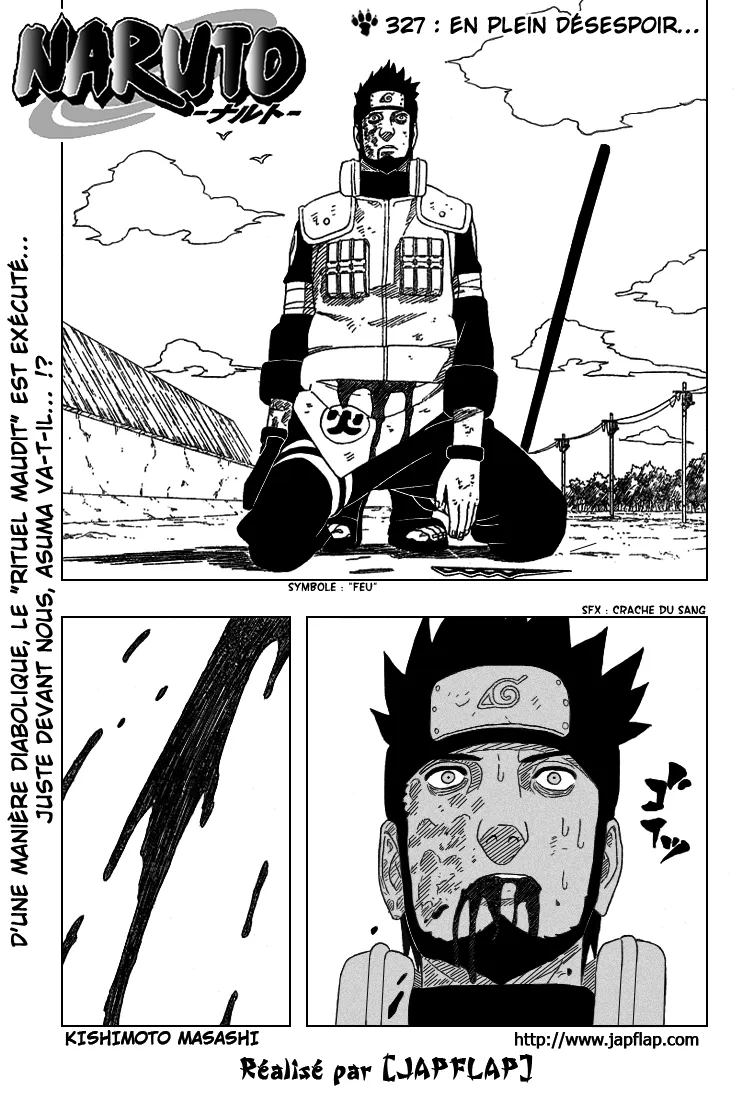Naruto - 327 - 6553797b39652.webp