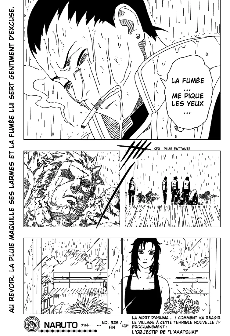 Naruto - 328 - 65537981229fb.webp