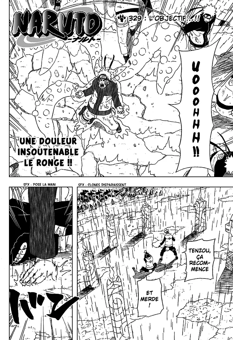 Naruto - 329 - 65537981efd1f.webp