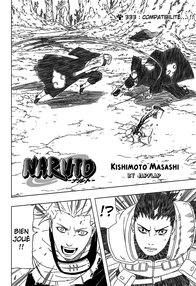 Naruto - 333 - 6553798fe225a.webp