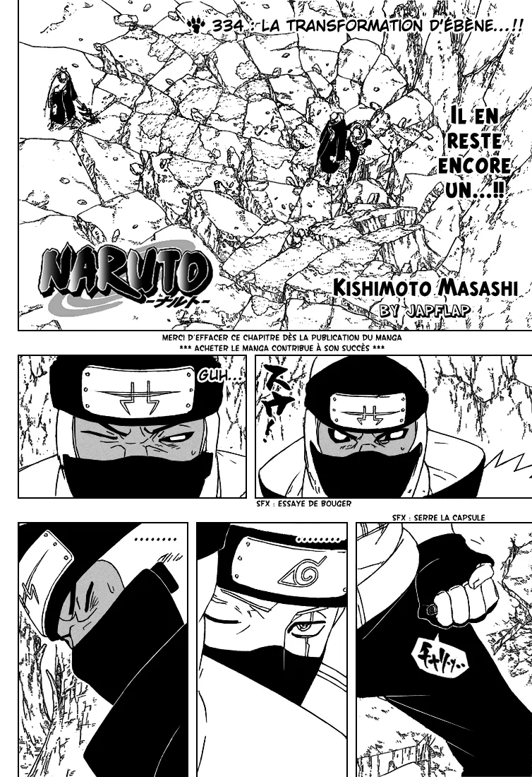 Naruto - 334 - 65537992883eb.webp