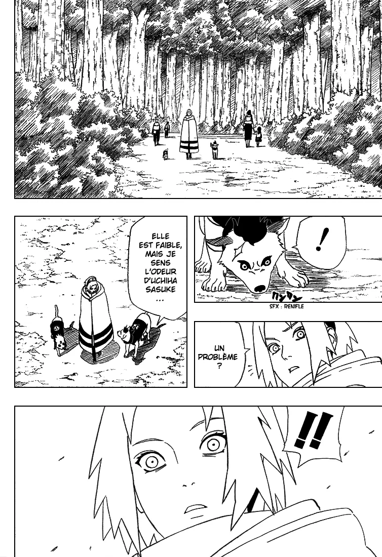 Naruto - 355 - 655379ddcfd8b.webp