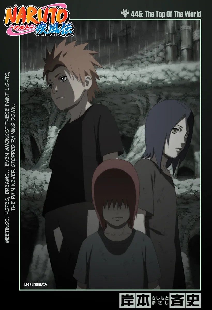 Naruto - 445 - 65537b079db1b.webp