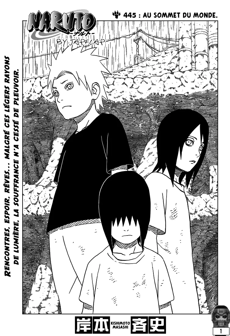 Naruto - 445 - 65537b07cf63b.webp