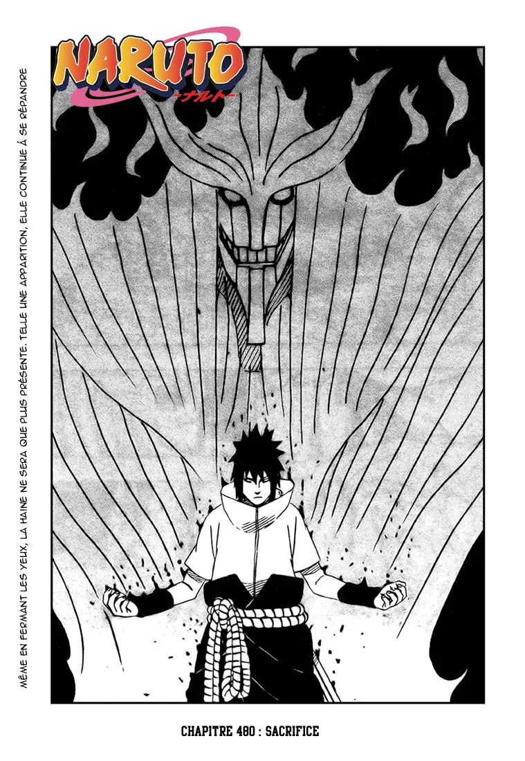 Naruto - 480 - 65537ba026971.webp