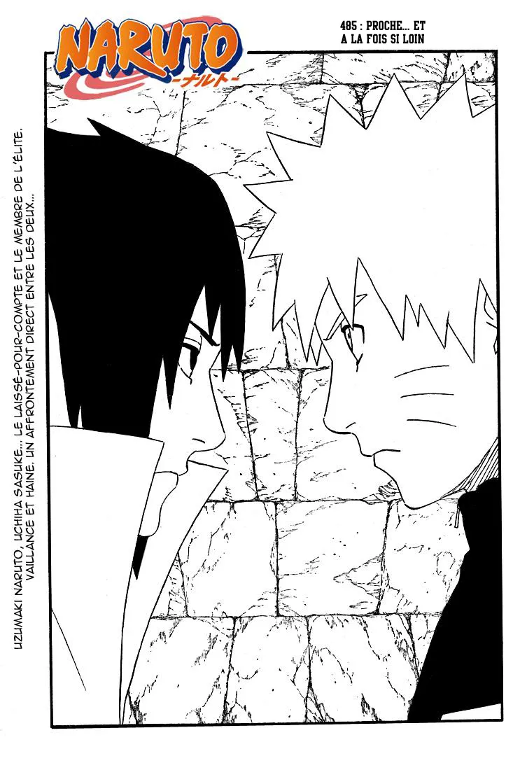 Naruto - 485 - 65537bb034858.webp