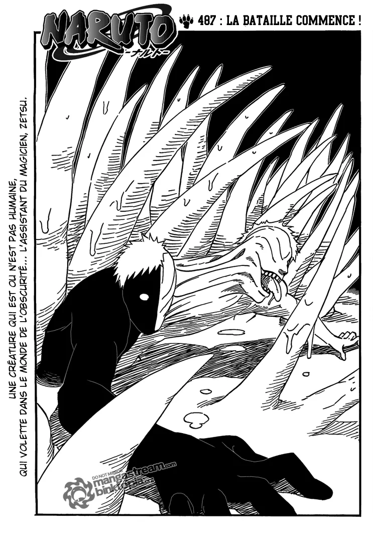 Naruto - 487 - 65537bb5ce19b.webp