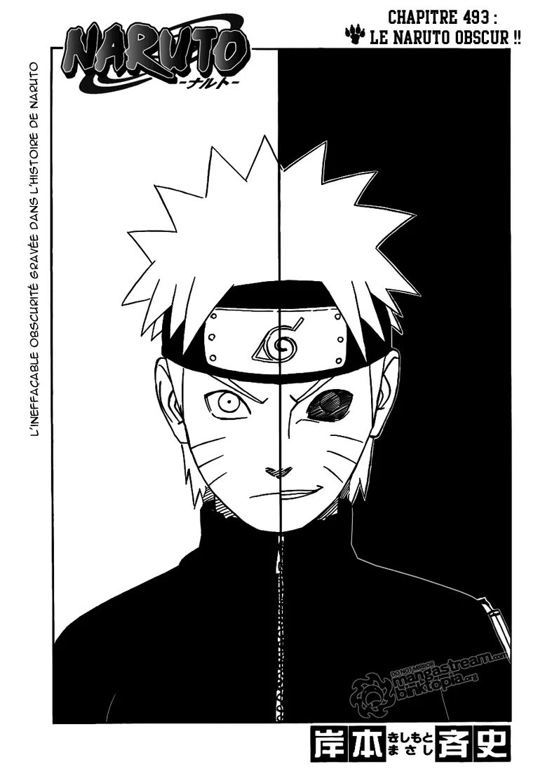 Naruto - 493 - 65537bc7f3bde.webp