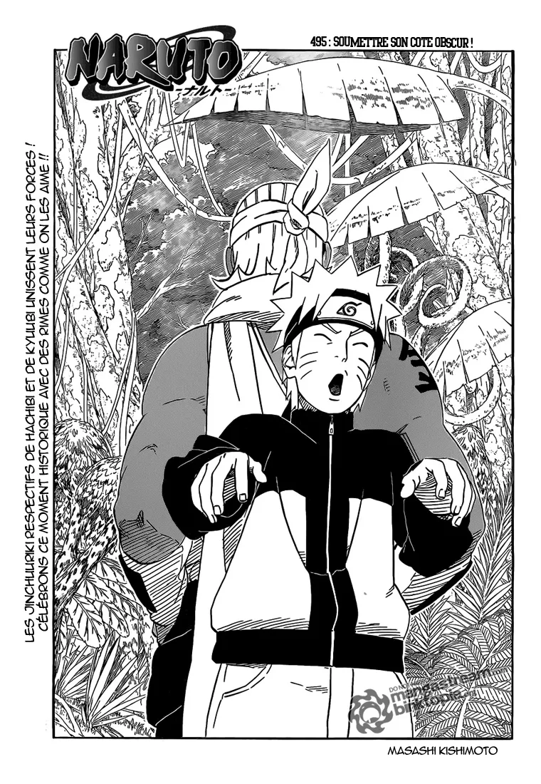 Naruto - 495 - 65537bce83592.webp