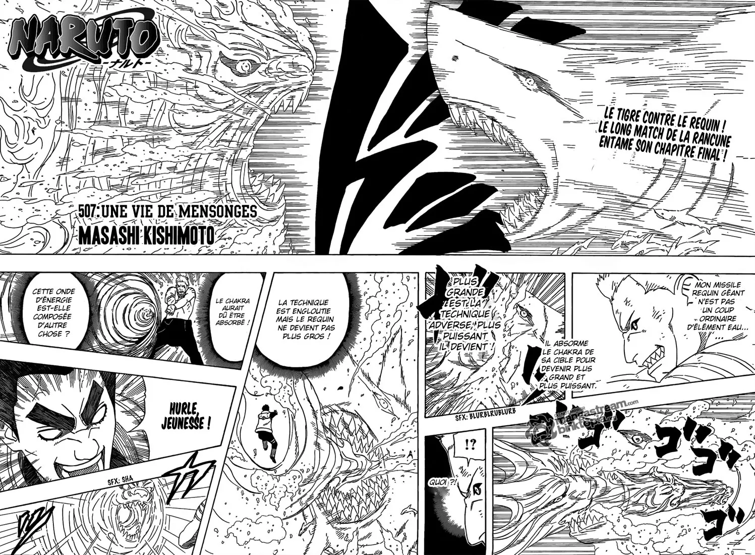 Naruto - 507 - 65537c0c81a30.webp