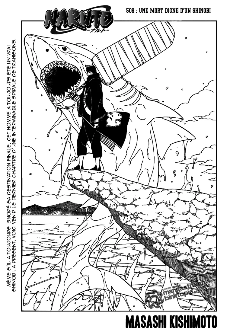 Naruto - 508 - 65537c0f2acd0.webp