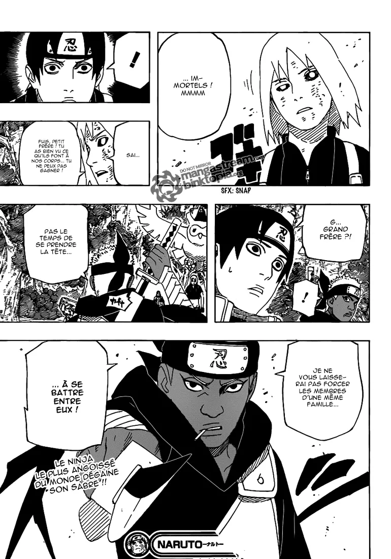 Naruto - 517 - 65537c31b015d.webp