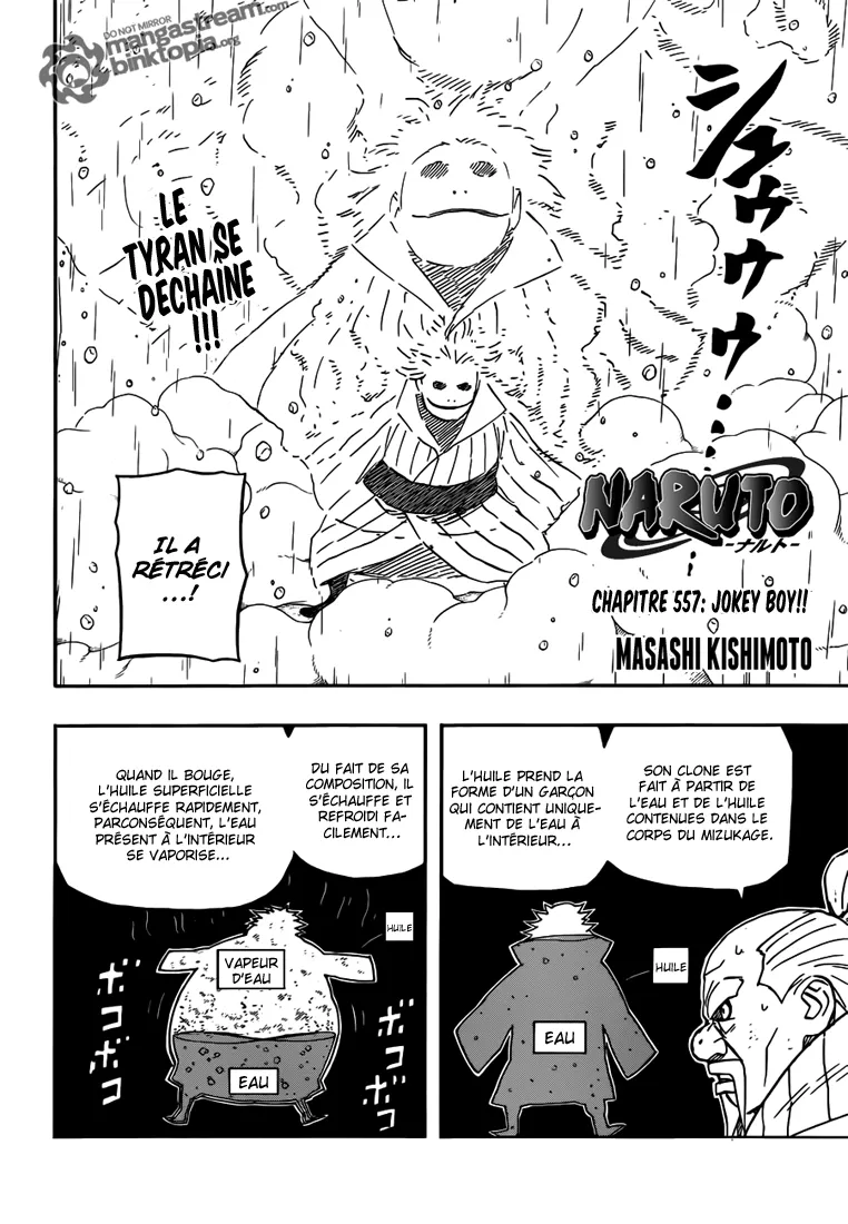 Naruto - 557 - 65537cb77758a.webp