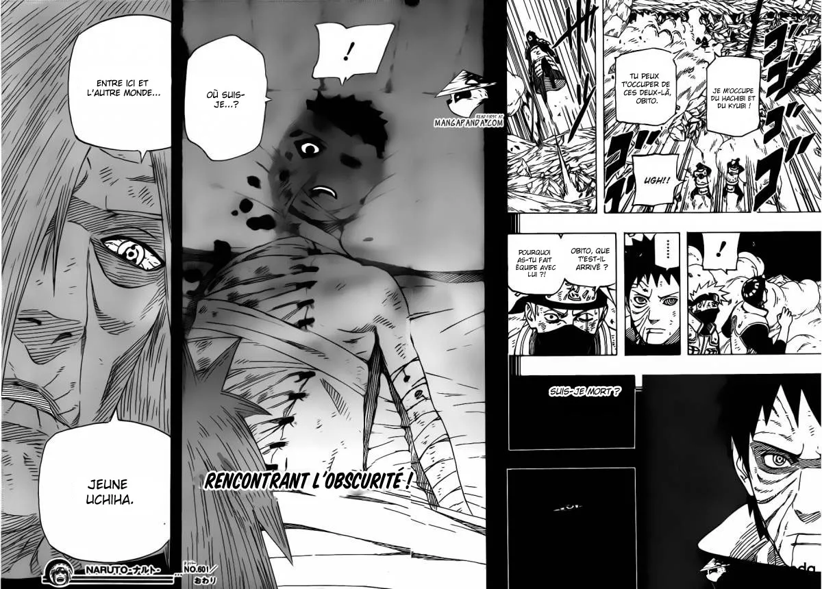 Naruto - 601 - 65537d6871774.webp