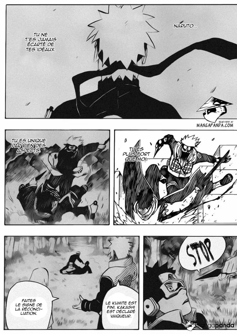 Naruto - 636 - 65537dd858c83.webp