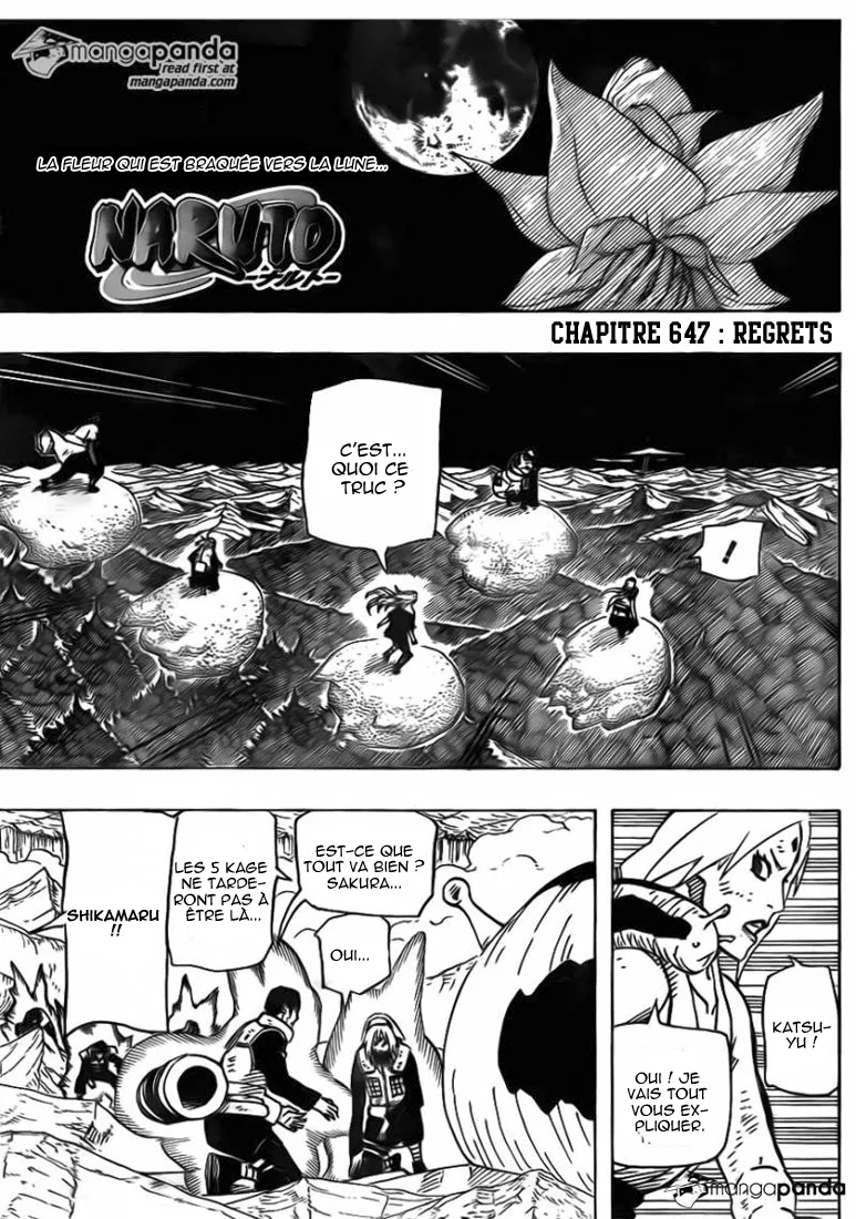 Naruto - 647 - 65537dfb13c20.webp