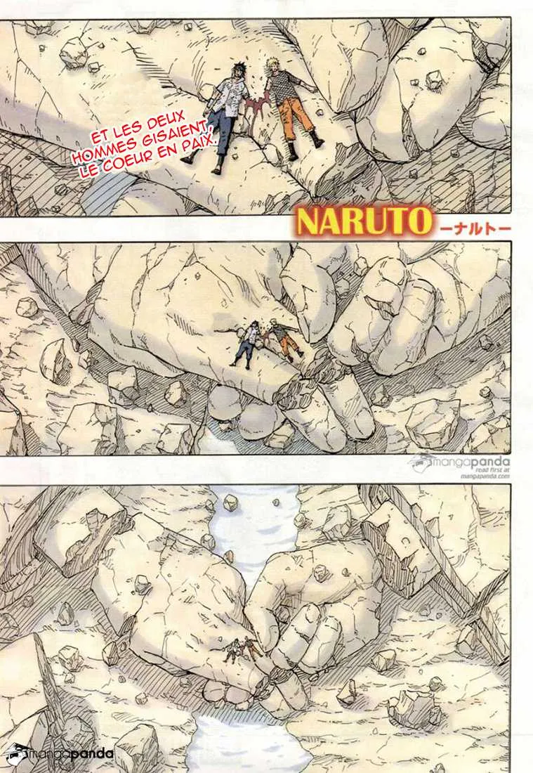 Naruto - 699 - 65537ea52cb0d.webp