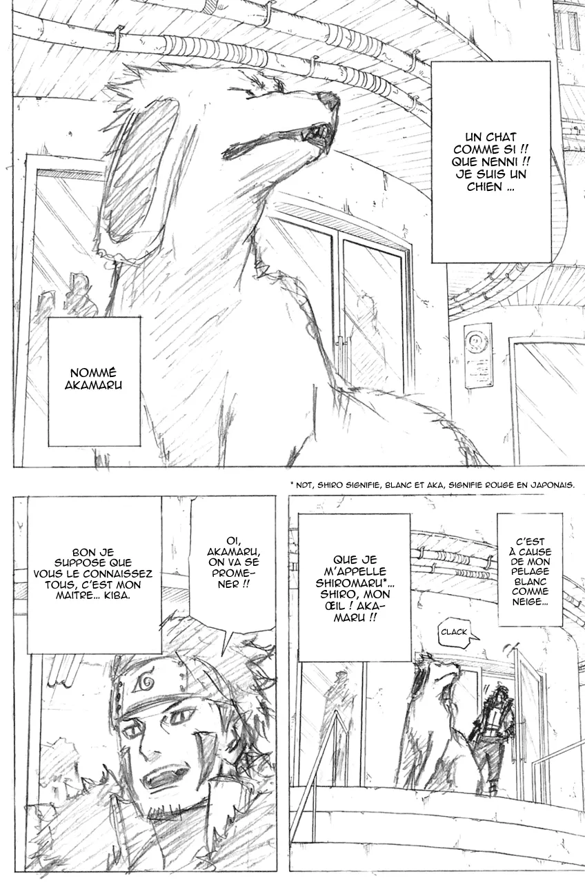 Naruto - 700.2 - 65537ec73a62d.webp